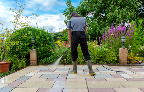 Best Winterizing Services  in Meriden, CT